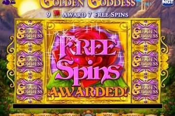 Playing with free spins